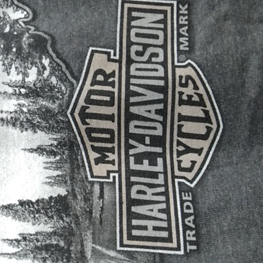 SALE! Harley Davidson Motorcycle Rocky Top Pigeon ForgeTN Long Sleeve Tee (BX51) - Picture 13 of 16